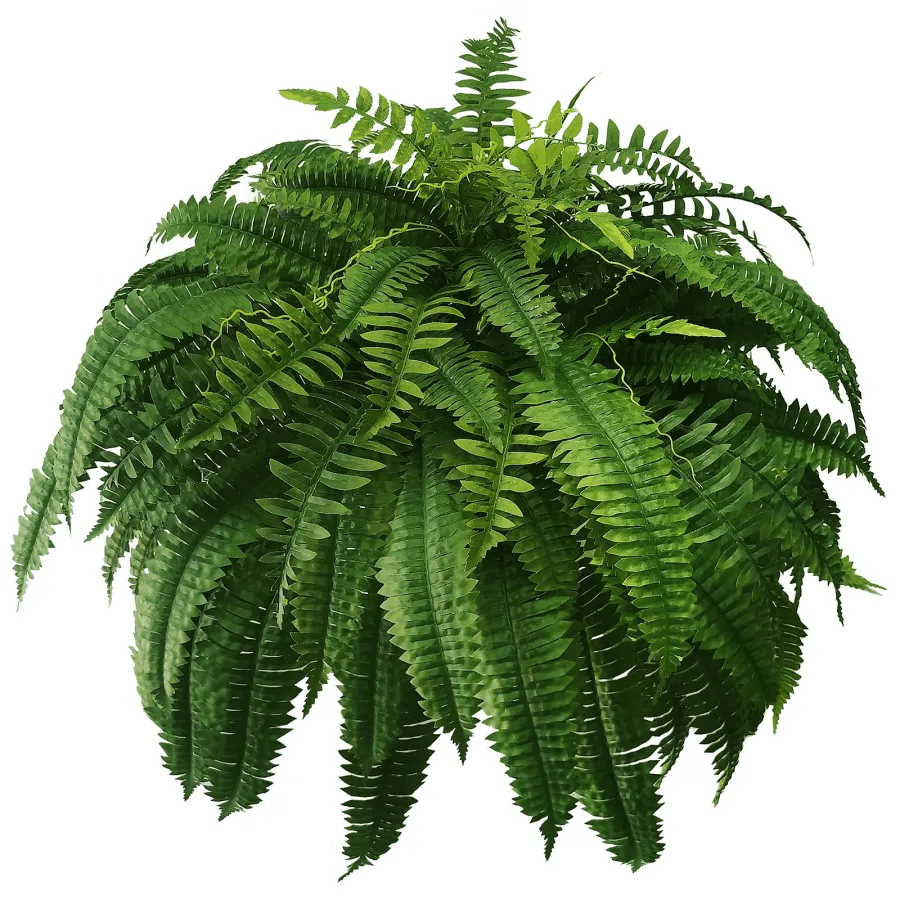 🔥Last Day 75% OFF🔥--🪴UV Resistant Lifelike Artificial Boston Fern