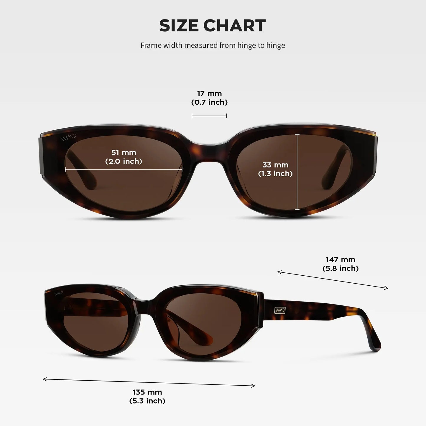 Astra Modern Flat-Lens Cat-Eye Sunglasses