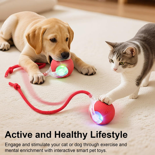 🐾Interactive Smart Chase Ball for Cats & Dogs – USB Rechargeable Automatic Rolling Teaser Toy with Speedy Tail