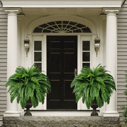 🔥Last Day 75% OFF🔥--🪴UV Resistant Lifelike Artificial Boston Fern