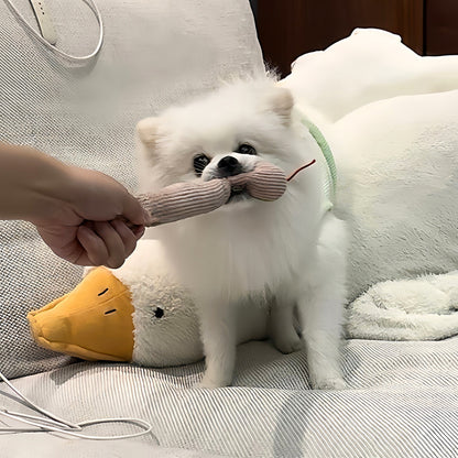 IEY®-Dogs Go Absolutely Wild for This Moving Snake Toy 🐍