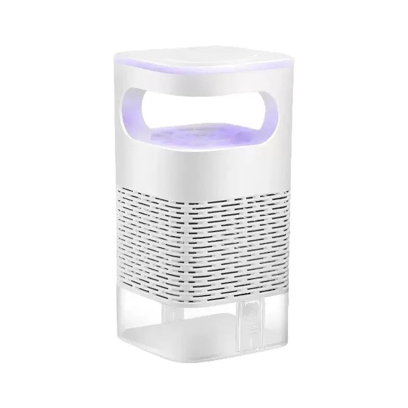 Standard – Lila Licht | 1 Stück – Wohnzimmer