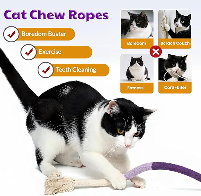Mresio®🔥😻 Cat Toys Chew Rope & Silvervine Sticks for Bored Indoor Adult Cats