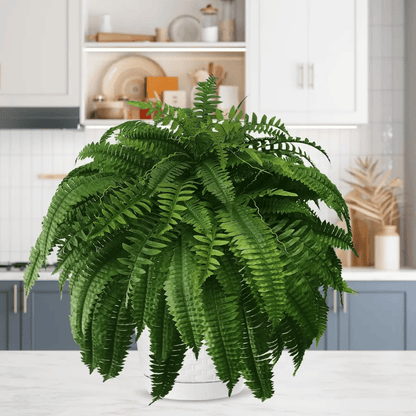 🔥Last Day 75% OFF🔥--🪴UV Resistant Lifelike Artificial Boston Fern