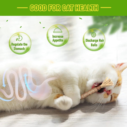 🔥😻Natural Silvervine Chew Sticks – Organic Dental Treats for Cats