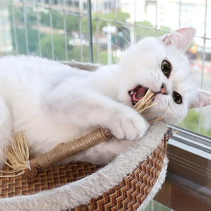 🔥😻Natural Silvervine Chew Sticks – Organic Dental Treats for Cats