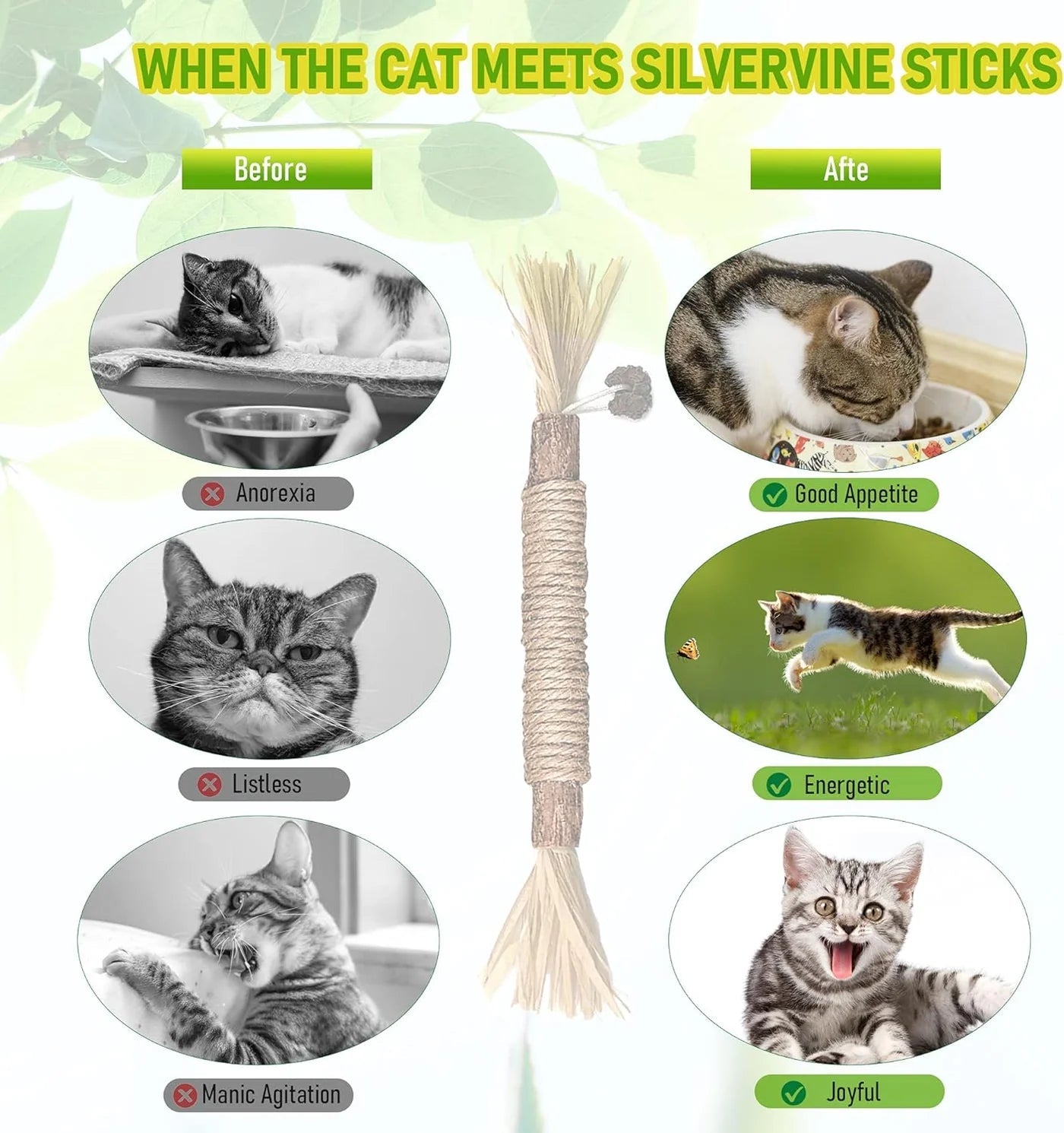 🔥😻Natural Silvervine Chew Sticks – Organic Dental Treats for Cats