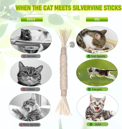 🔥😻Natural Silvervine Chew Sticks – Organic Dental Treats for Cats